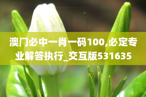 澳门必中一肖一码100,必定专业解答执行_交互版531635