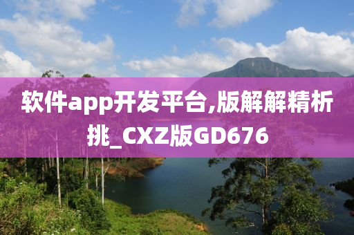 软件app开发平台,版解解精析挑_CXZ版GD676