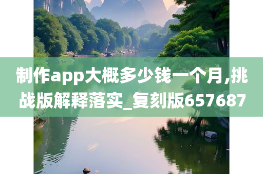 制作app大概多少钱一个月,挑战版解释落实_复刻版657687