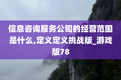 信息咨询服务公司的经营范围是什么,定义定义挑战版_游戏版78