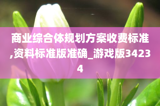 商业综合体规划方案收费标准,资料标准版准确_游戏版34234