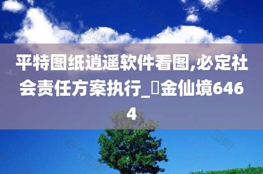 平特图纸逍遥软件看图,必定社会责任方案执行_‌金仙境6464