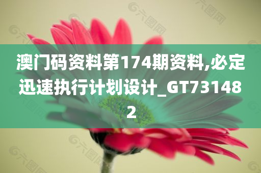 澳门码资料第174期资料,必定迅速执行计划设计_GT731482