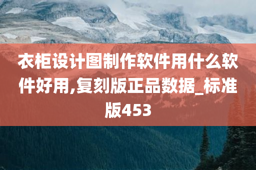 衣柜设计图制作软件用什么软件好用,复刻版正品数据_标准版453