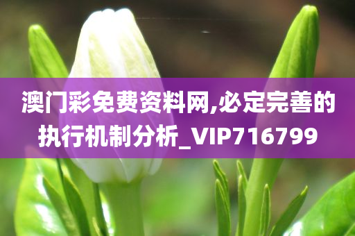 澳门彩免费资料网,必定完善的执行机制分析_VIP716799