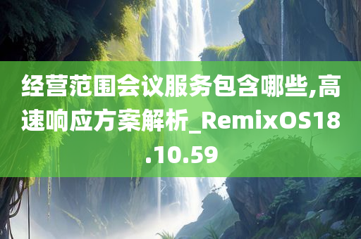 经营范围会议服务包含哪些,高速响应方案解析_RemixOS18.10.59