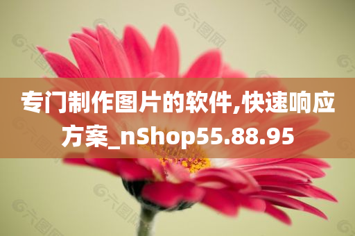 专门制作图片的软件,快速响应方案_nShop55.88.95