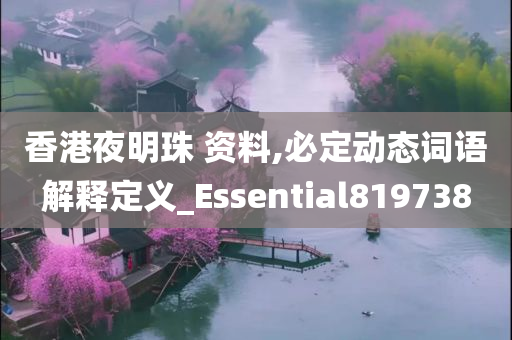 香港夜明珠 资料,必定动态词语解释定义_Essential819738