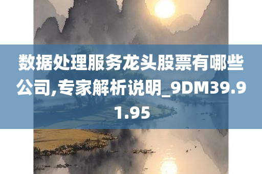 数据处理服务龙头股票有哪些公司,专家解析说明_9DM39.91.95