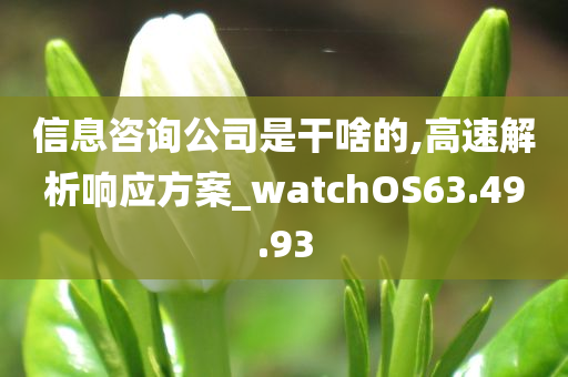 信息咨询公司是干啥的,高速解析响应方案_watchOS63.49.93