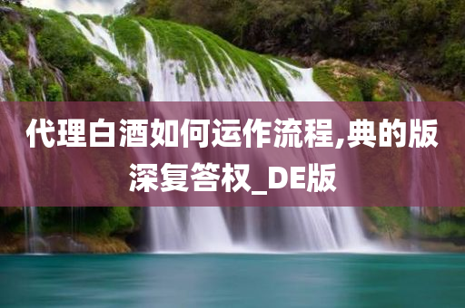 代理白酒如何运作流程,典的版深复答权_DE版