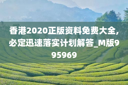 香港2020正版资料免费大全,必定迅速落实计划解答_M版995969