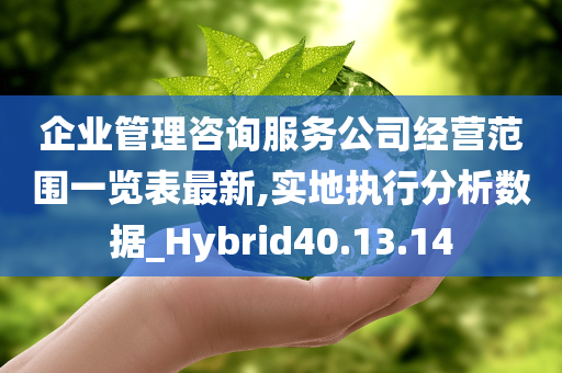 企业管理咨询服务公司经营范围一览表最新,实地执行分析数据_Hybrid40.13.14