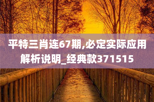 平特三肖连67期,必定实际应用解析说明_经典款371515