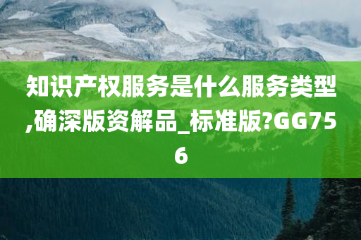 知识产权服务是什么服务类型,确深版资解品_标准版?GG756