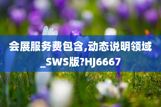 会展服务费包含,动态说明领域_SWS版?HJ6667