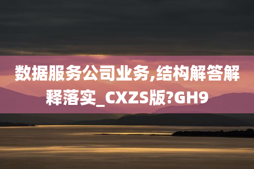 数据服务公司业务,结构解答解释落实_CXZS版?GH9