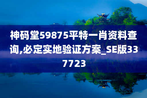 神码堂59875平特一肖资料查询,必定实地验证方案_SE版337723