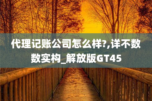 代理记账公司怎么样?,详不数数实构_解放版GT45