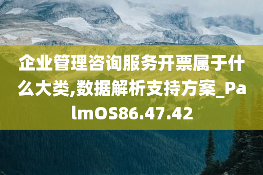 企业管理咨询服务开票属于什么大类,数据解析支持方案_PalmOS86.47.42