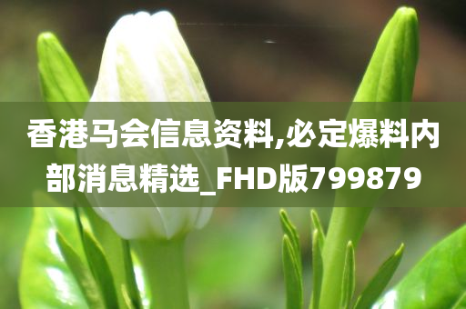 香港马会信息资料,必定爆料内部消息精选_FHD版799879