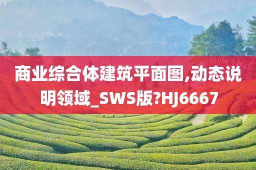 商业综合体建筑平面图,动态说明领域_SWS版?HJ6667