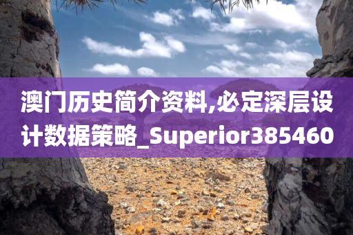 澳门历史简介资料,必定深层设计数据策略_Superior385460