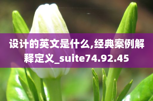 设计的英文是什么,经典案例解释定义_suite74.92.45