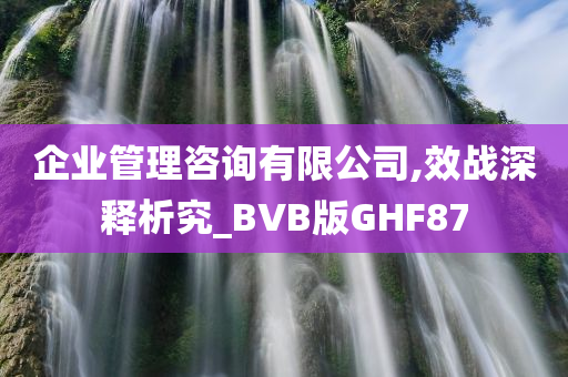 企业管理咨询有限公司,效战深释析究_BVB版GHF87