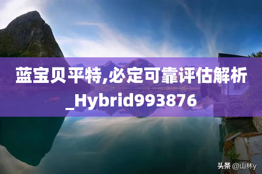 蓝宝贝平特,必定可靠评估解析_Hybrid993876