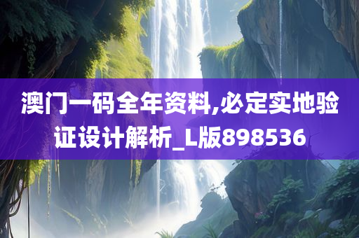 澳门一码全年资料,必定实地验证设计解析_L版898536