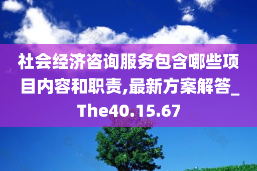 社会经济咨询服务包含哪些项目内容和职责,最新方案解答_The40.15.67