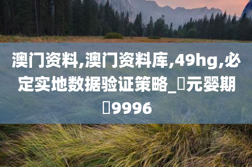 澳门资料,澳门资料库,49hg,必定实地数据验证策略_‌元婴期‌9996