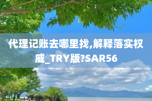 代理记账去哪里找,解释落实权威_TRY版?SAR56