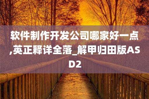 软件制作开发公司哪家好一点,英正释详全落_解甲归田版ASD2