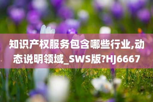 知识产权服务包含哪些行业,动态说明领域_SWS版?HJ6667