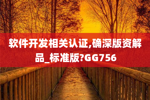 软件开发相关认证,确深版资解品_标准版?GG756