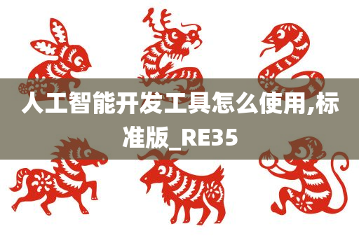 人工智能开发工具怎么使用,标准版_RE35