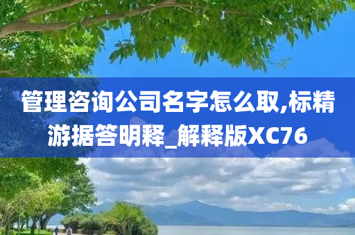 管理咨询公司名字怎么取,标精游据答明释_解释版XC76