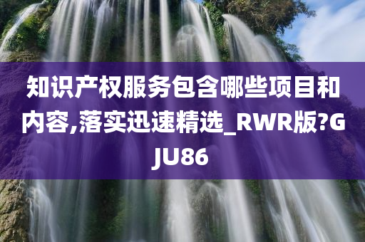 知识产权服务包含哪些项目和内容,落实迅速精选_RWR版?GJU86