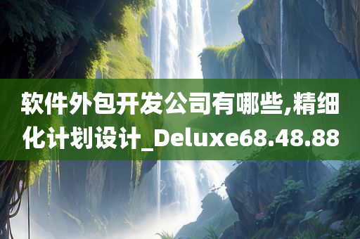 软件外包开发公司有哪些,精细化计划设计_Deluxe68.48.88