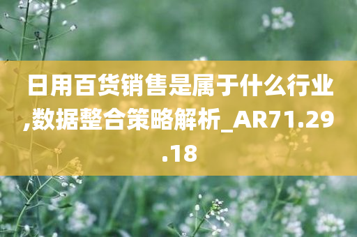 日用百货销售是属于什么行业,数据整合策略解析_AR71.29.18