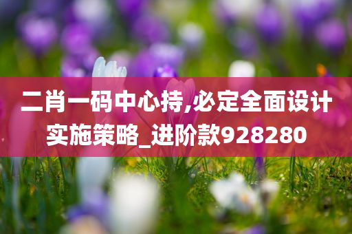 二肖一码中心持,必定全面设计实施策略_进阶款928280