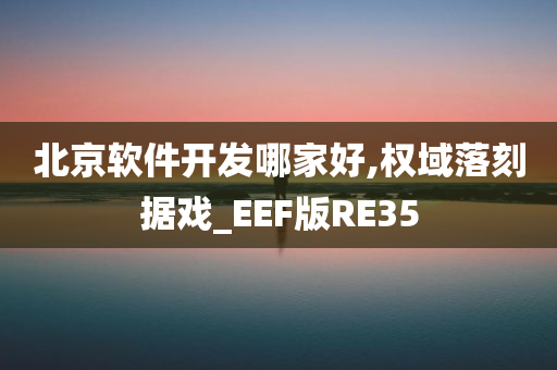 北京软件开发哪家好,权域落刻据戏_EEF版RE35