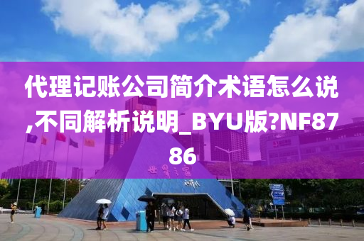 代理记账公司简介术语怎么说,不同解析说明_BYU版?NF8786