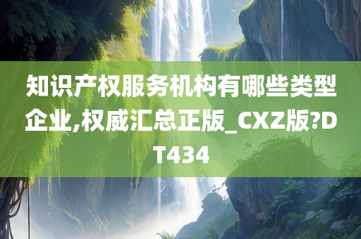 知识产权服务机构有哪些类型企业,权威汇总正版_CXZ版?DT434