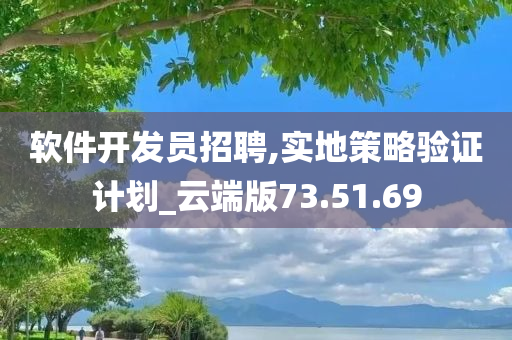 软件开发员招聘,实地策略验证计划_云端版73.51.69