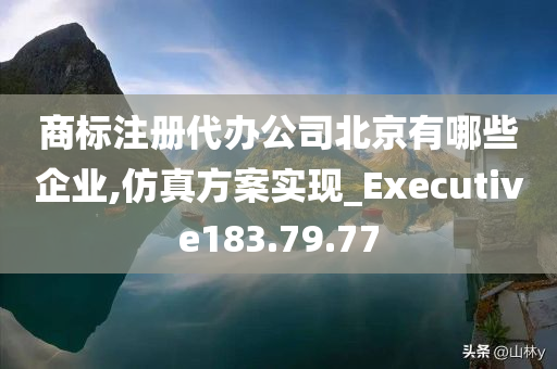 商标注册代办公司北京有哪些企业,仿真方案实现_Executive183.79.77