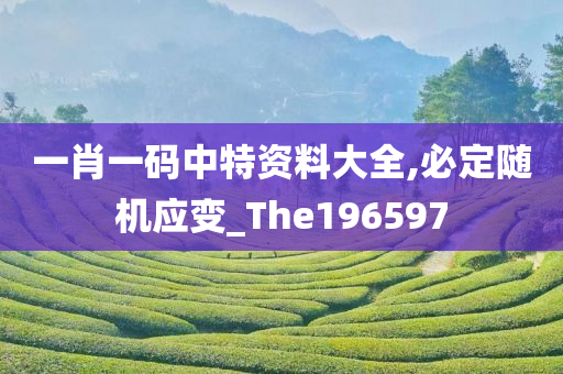 一肖一码中特资料大全,必定随机应变_The196597