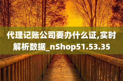 代理记账公司要办什么证,实时解析数据_nShop51.53.35